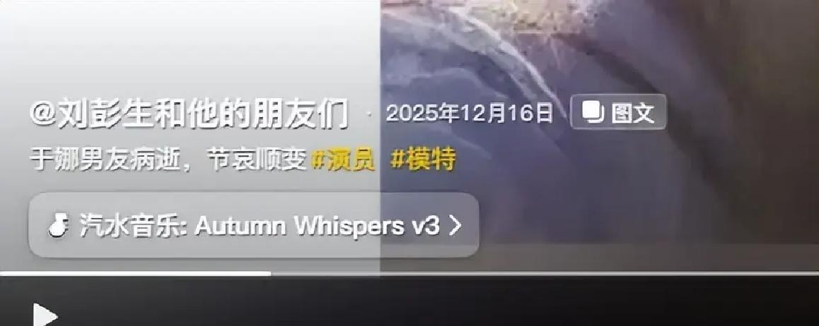 娱乐圈的胖女明星_于娜综艺节目_于娜体重变化原因